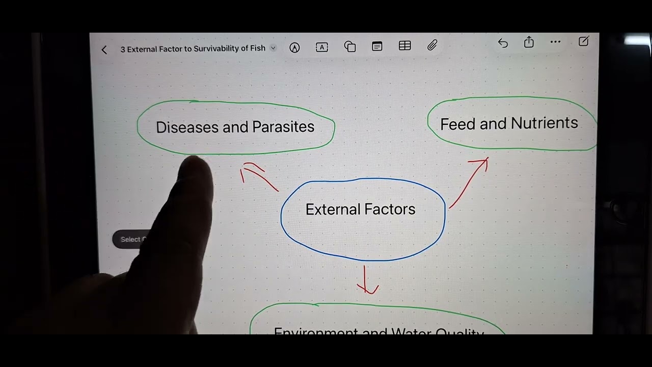 3 External factor affecting survivability of fish in Aquaculture (Simplified version)