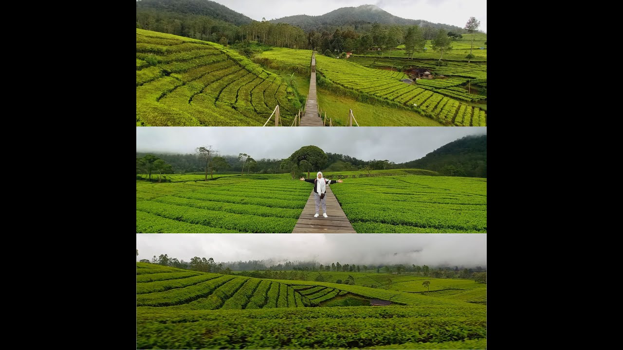 Nuansa Riung gunung...pangalengan