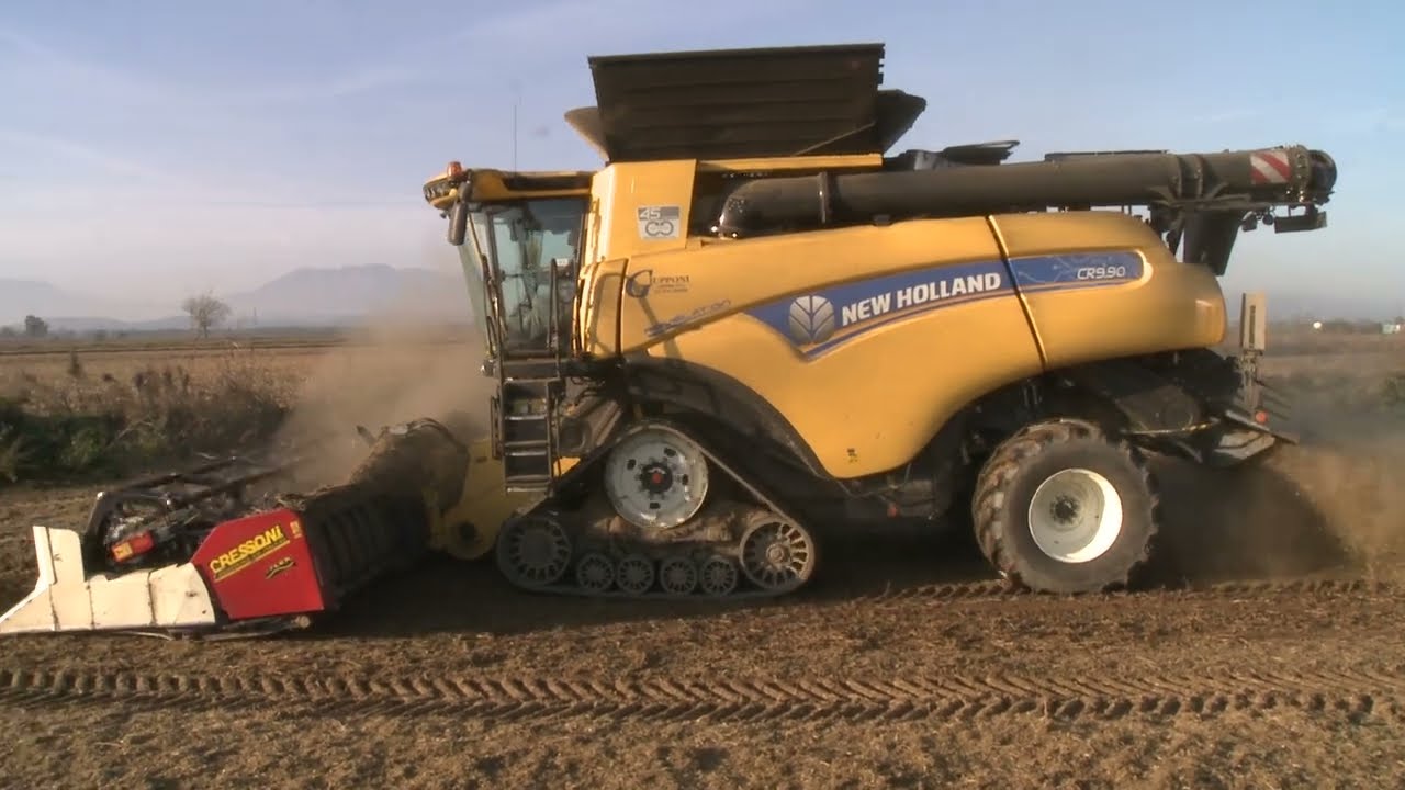 NewHolland CR 9.90 e Cressoni raccolta soia 2024 vercelli