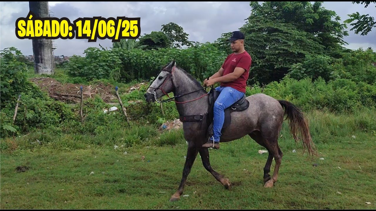 FEIRA DE CAVALO DE ABREU E LIMA-PE SÁBADO: 14/06/25