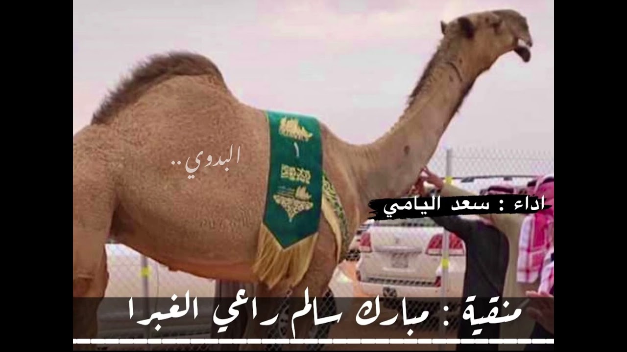 منقية : مبارك بن سالم راعي الغبرا العازمي - اداء : سعد اليامي
