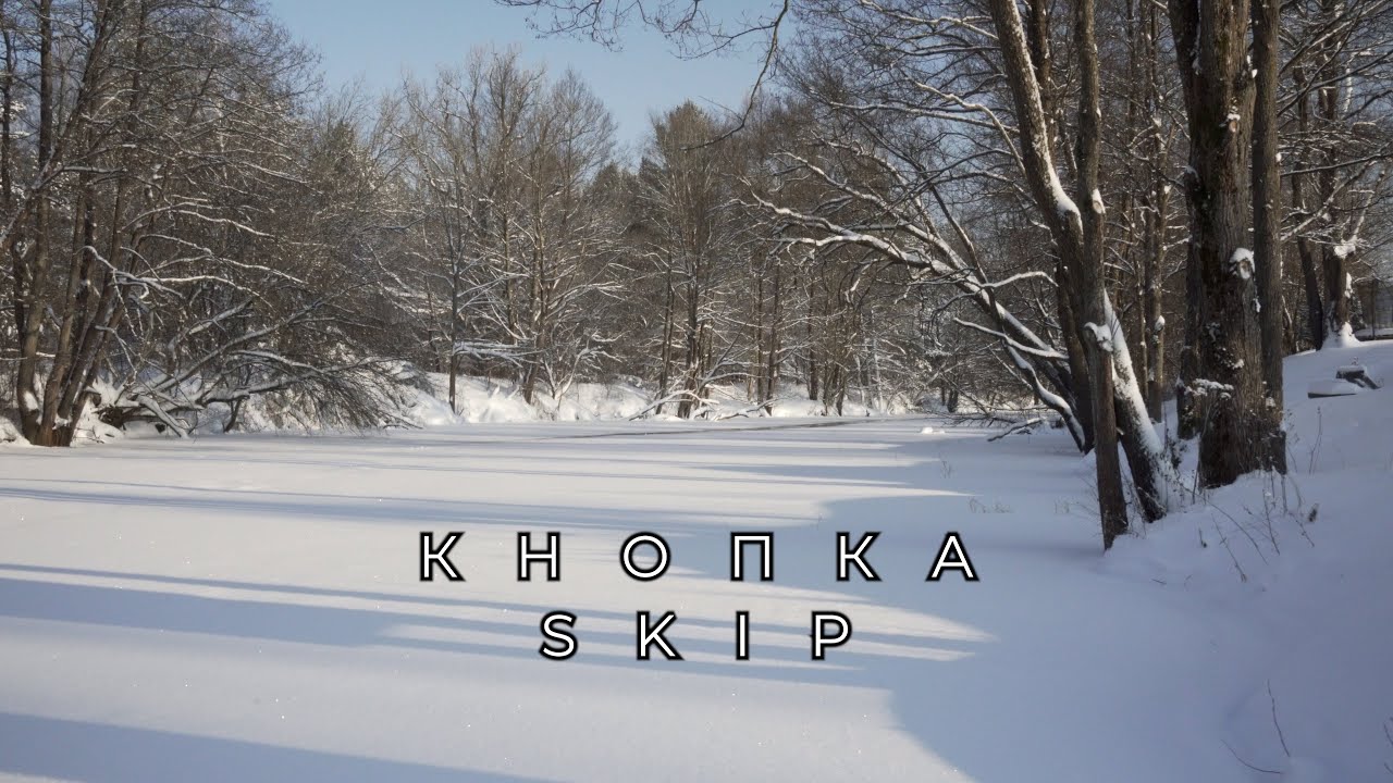 Кнопка «Skip»: Нейробиология потерянной жизни