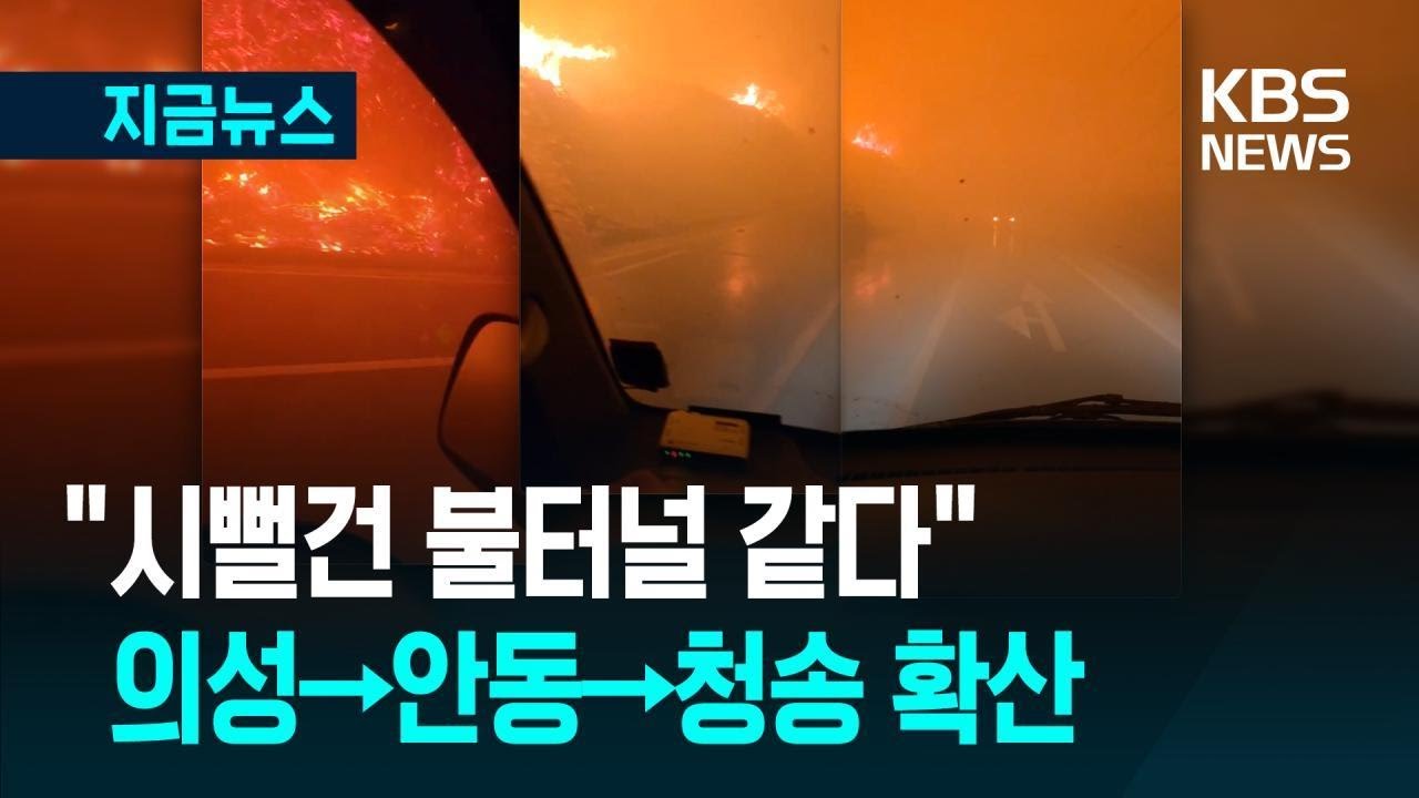 [지금뉴스] 