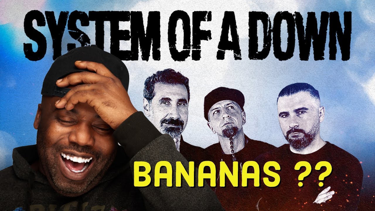 System Of A Down - Vicinity of Obscenity Reaction