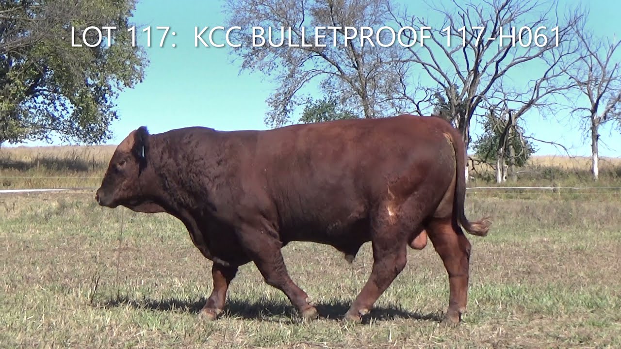 LOT 117:  KCC Bulletproof 117-H061