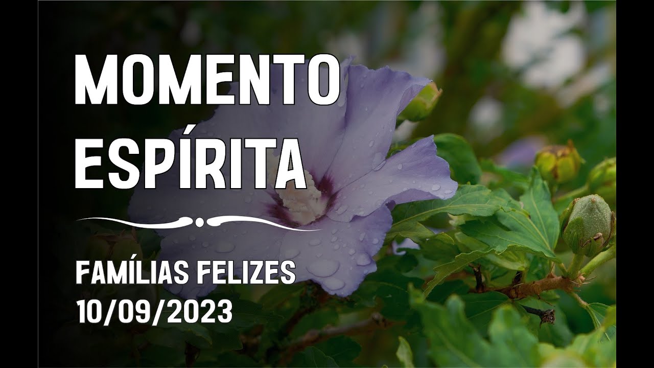 Momento Espírita - Famílias Felizes