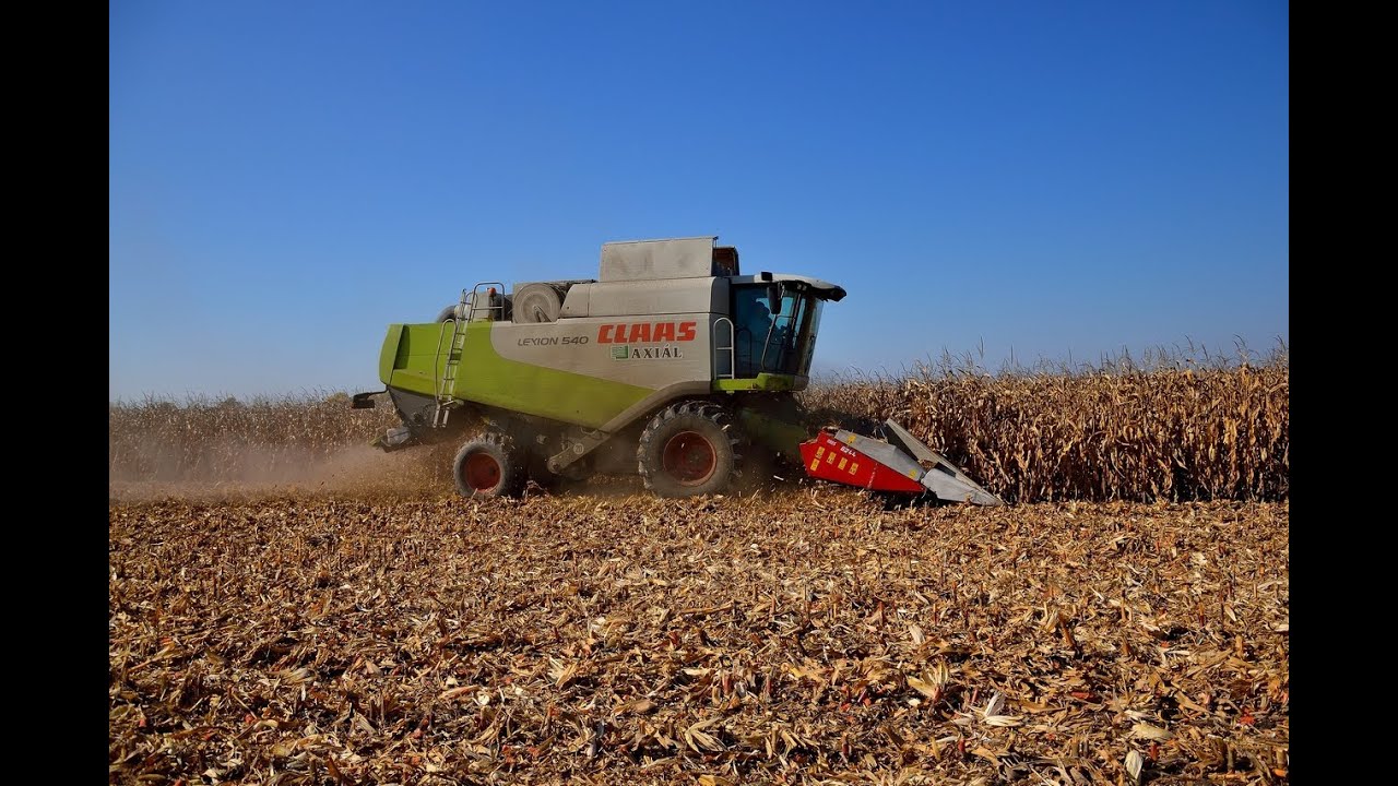 Kukorica Aratás Claas Lexion 540 Corn Harvest.