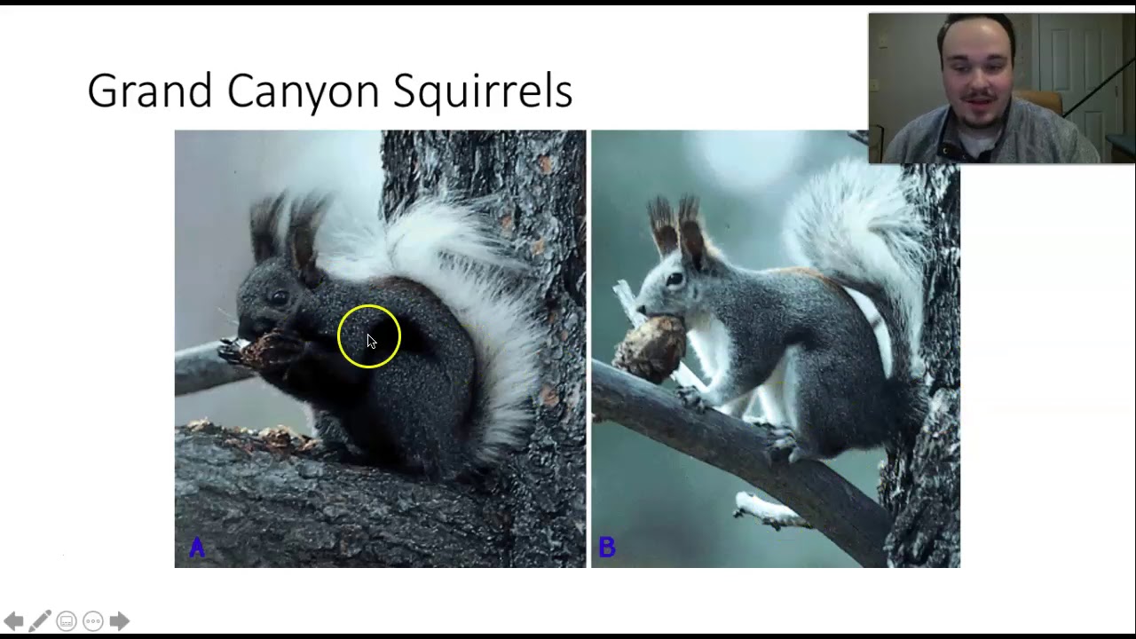 Speciation Lecture