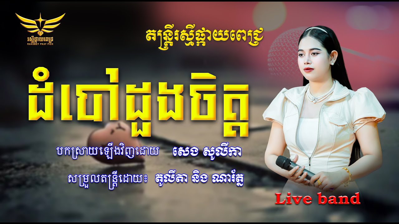 ដំបៅដួដចិត្ត // COVER BY // SENG SOLYKA - LIVE BAND MUSIC 😢🎶