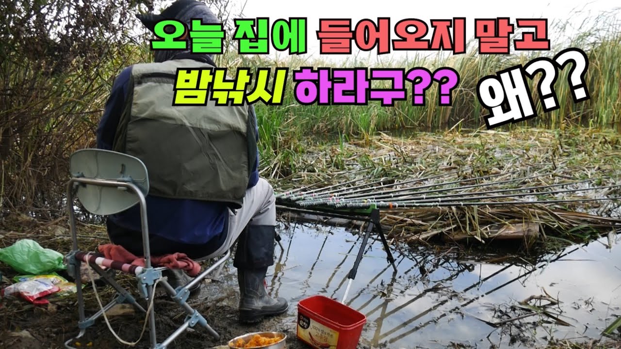 오늘 집에 들어오지 말고 밤낚시 하라고?? 왜?? 공포의 부들밭 붕어낚시