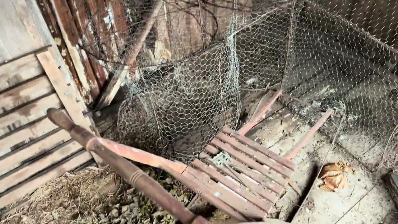 Clearing Reeds on a Frozen Lake | Discovering an Abandoned Fishing Hut