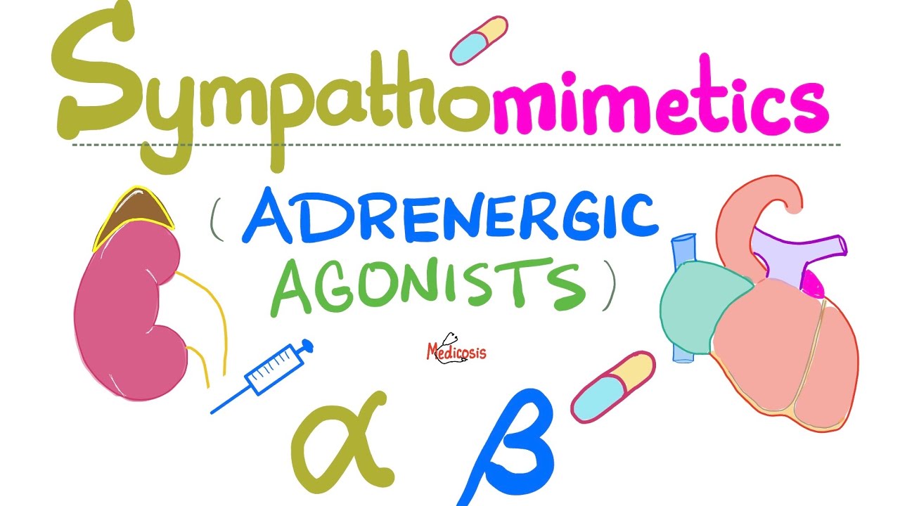 Sympathomimetics (Adrenergic Agonists)—Epinephrine, Norepinephrine - Alpha & Beta Receptors