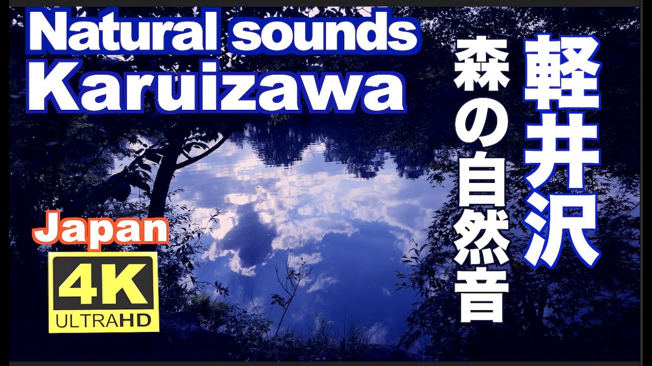 4K 自然音 秋の軽井沢の森 Karuizawa natural sounds 睡眠 秋の夜の森の音でリラックス  Relaxing ひぐらし せせらぎ 虫の声  観光 旅行 癒し ストレス 初秋