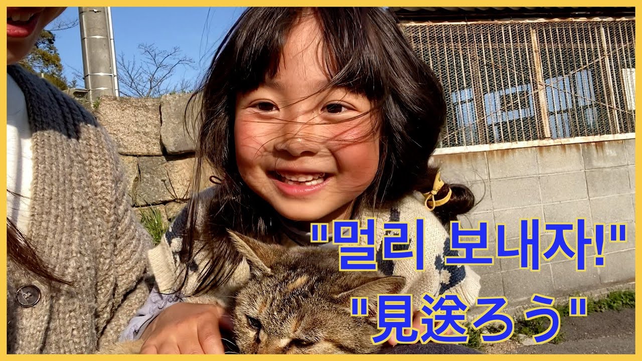 救世主、現る😭✨일본에서 길고양이를 맡겨주신다는 분을 찾았습니다!!