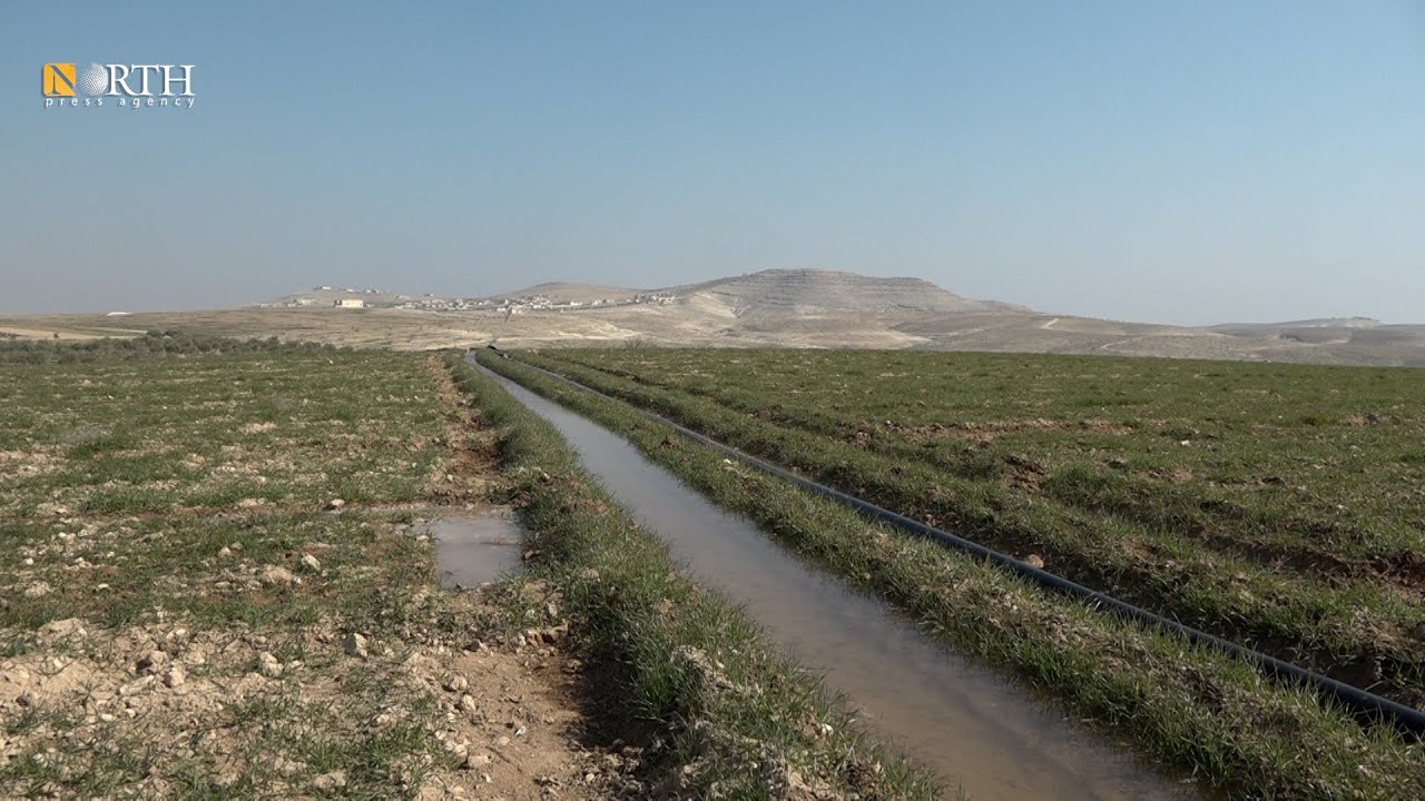 الأمطار الأخيرة أنعشت آمال مزارعين منبج بالموسم الجديد رغم قلة الدعم لهم – نورث برس