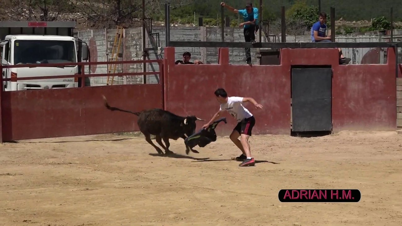 Capea Ganadería El Saliner 2020