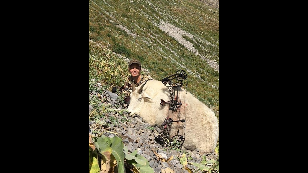 Idaho Mountain Goat Bow Hunt