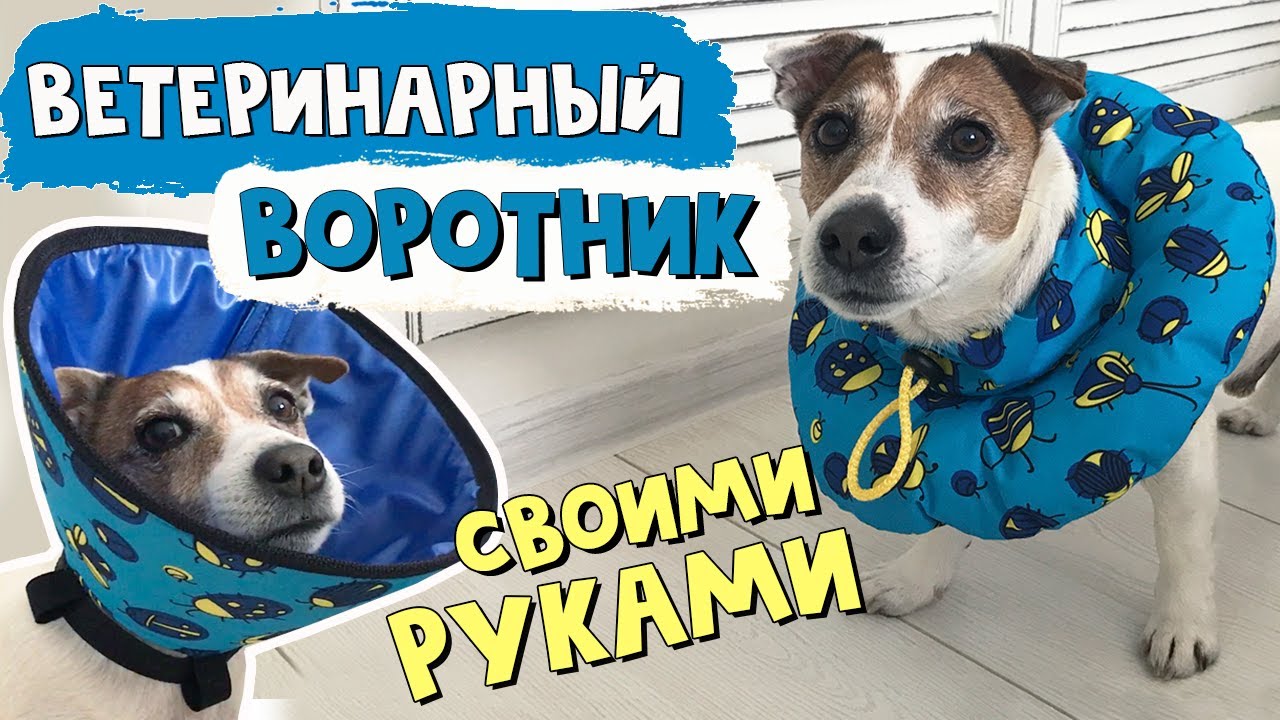 Мягкий ЗАЩИТНЫЙ ВОРОТНИК для собаки или кошки/Ветеринарный воротник своими руками/ВЫКРОЙКА воротника