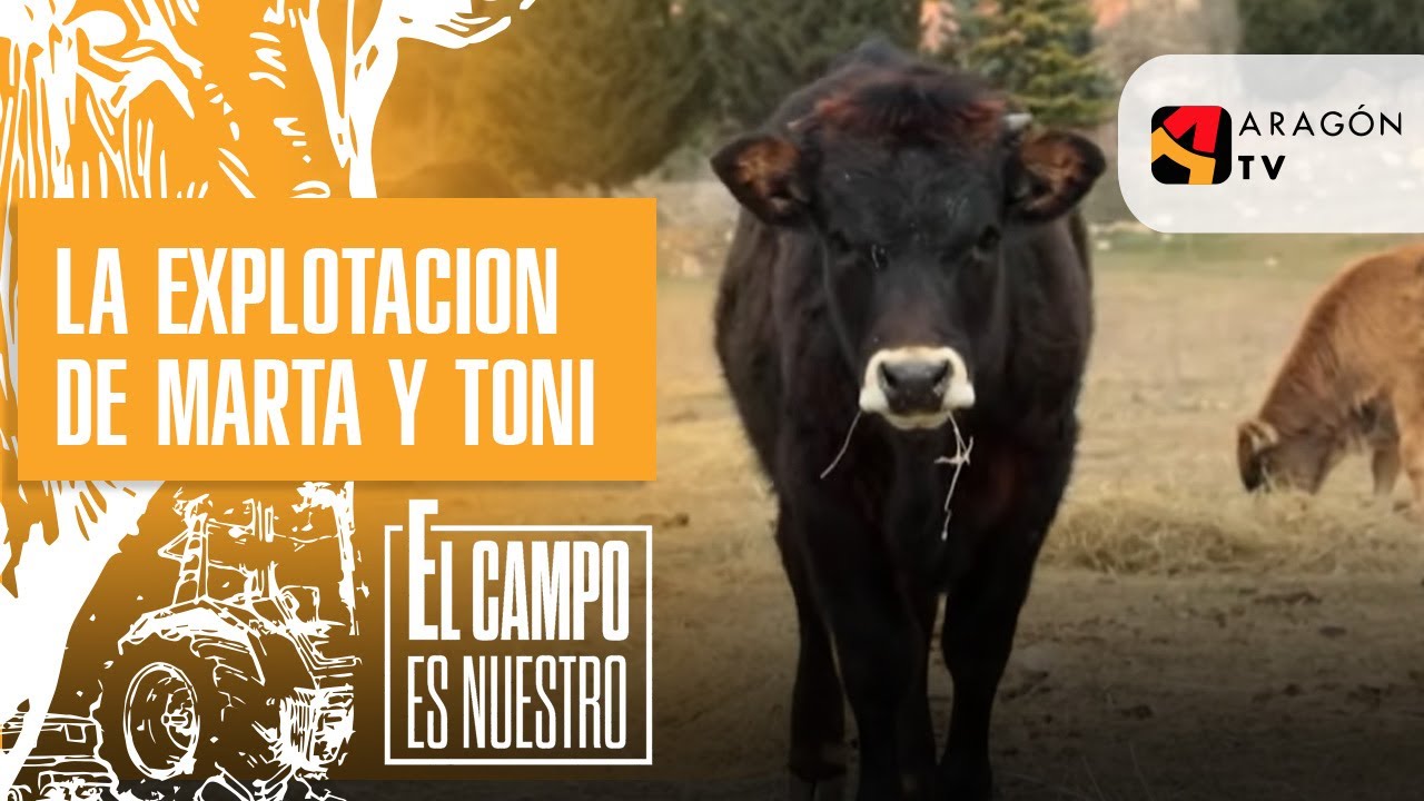 Volvemos a la explotación de Marta y Toni