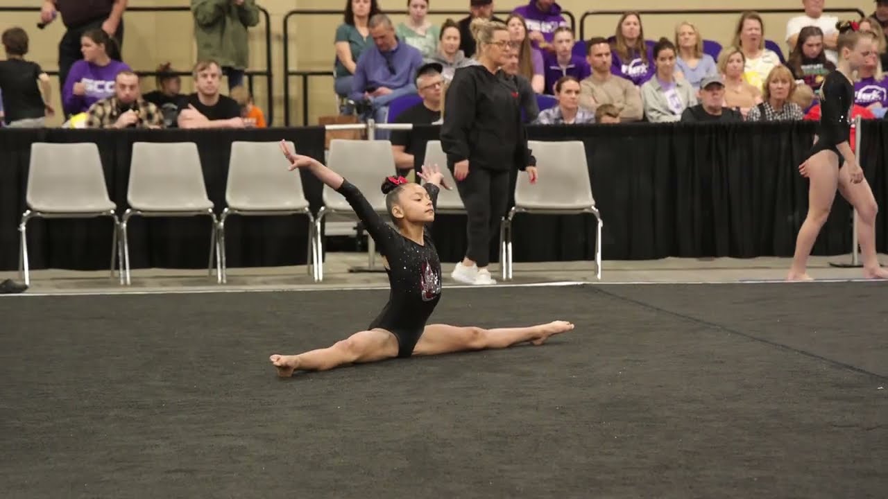 Eva Vargas 3rd Floor 9.45 Charleston Cup 2026 Wildfire Gymnast Level 6