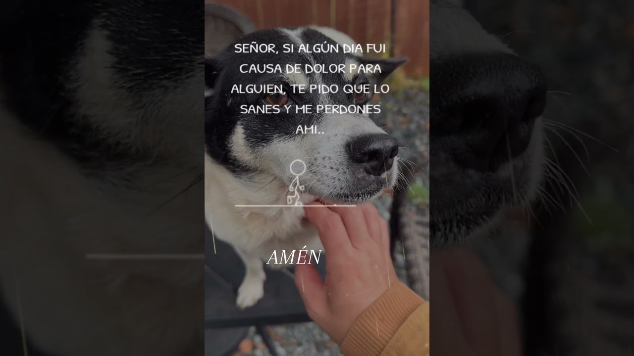 El amor de Dios no falla ❤️#AmorEterno #DiosEsAmor #CristoTeAma #AmorQueSana