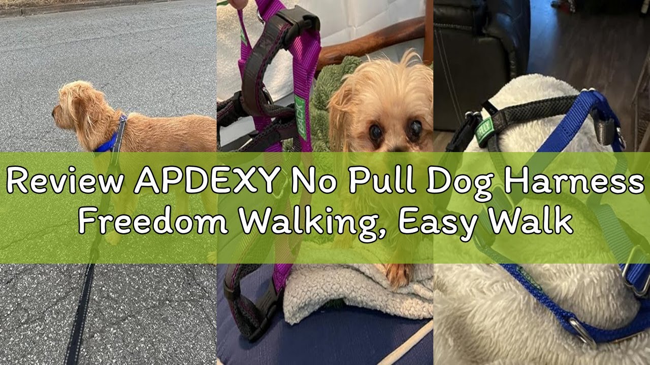 Review APDEXY No Pull Dog Harness Freedom Walking, Easy Walk with Front and Back Stainless D-Rings,