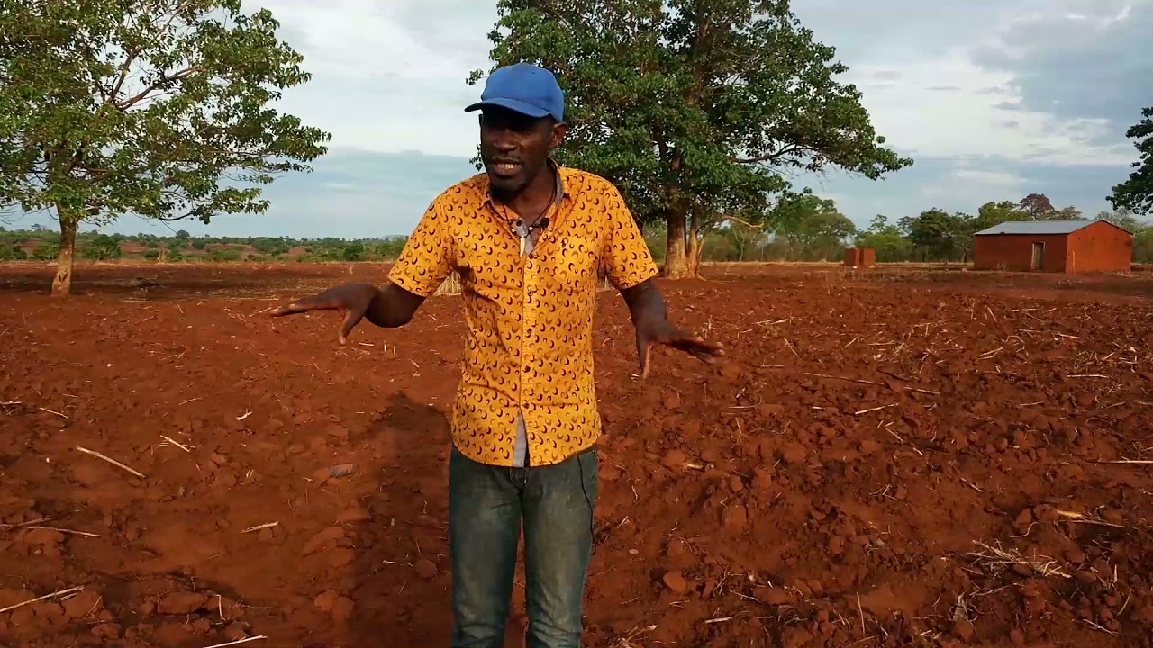 Weed killers (Herbicides)