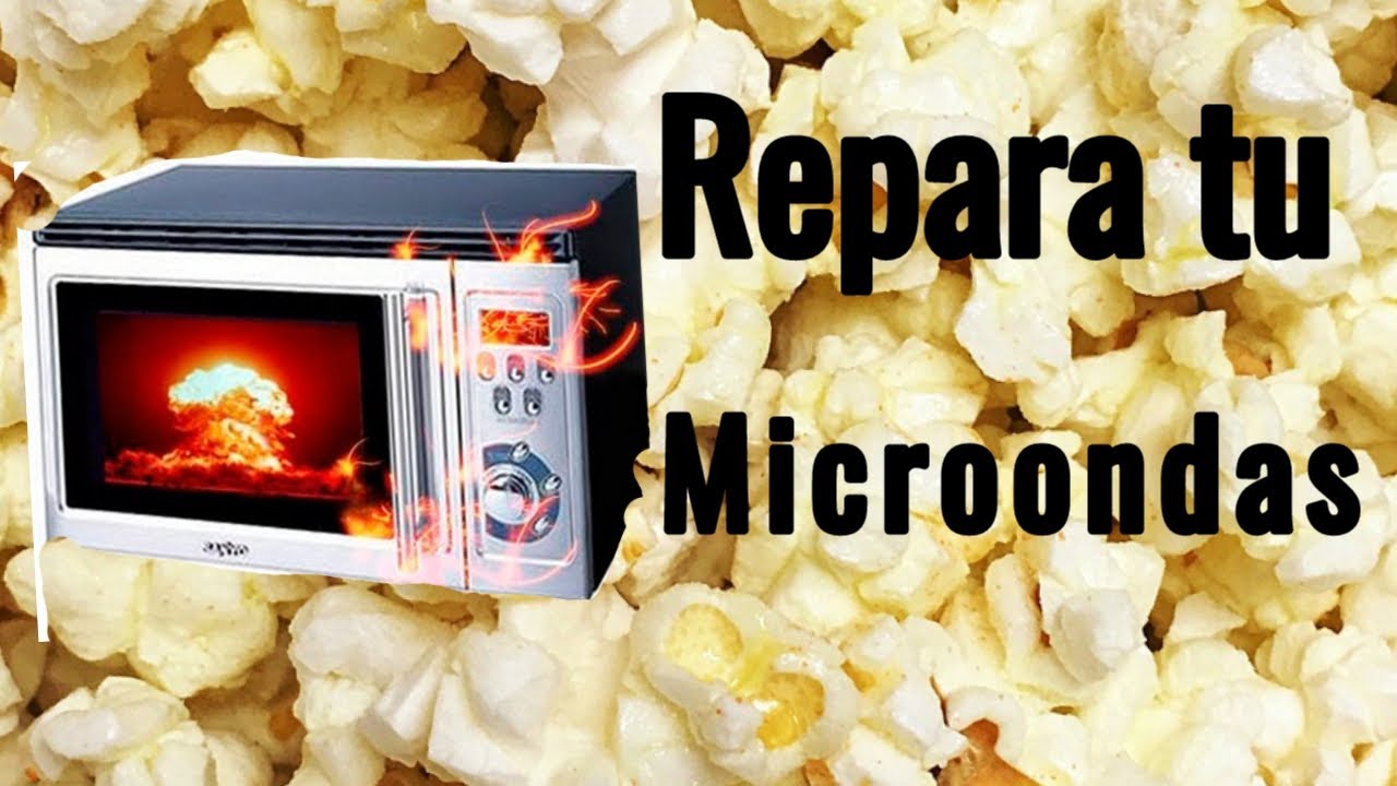 Reparaci&oacute;n y restauraci&oacute;n de microondas, chispas, reciclaje de electrodom&eacute;sticos, pintura.