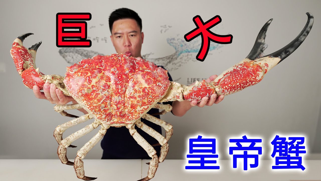 全球艰辛寻找两年，18.5斤的巨无霸皇帝蟹，我人都吃傻了【小文哥吃吃吃】