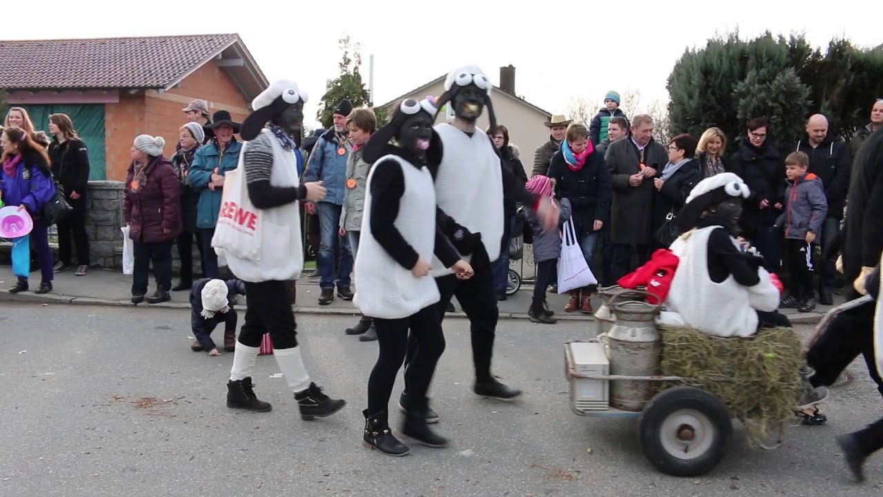 Faschingsumzug in Hofkirchen am 7. Februar 2016