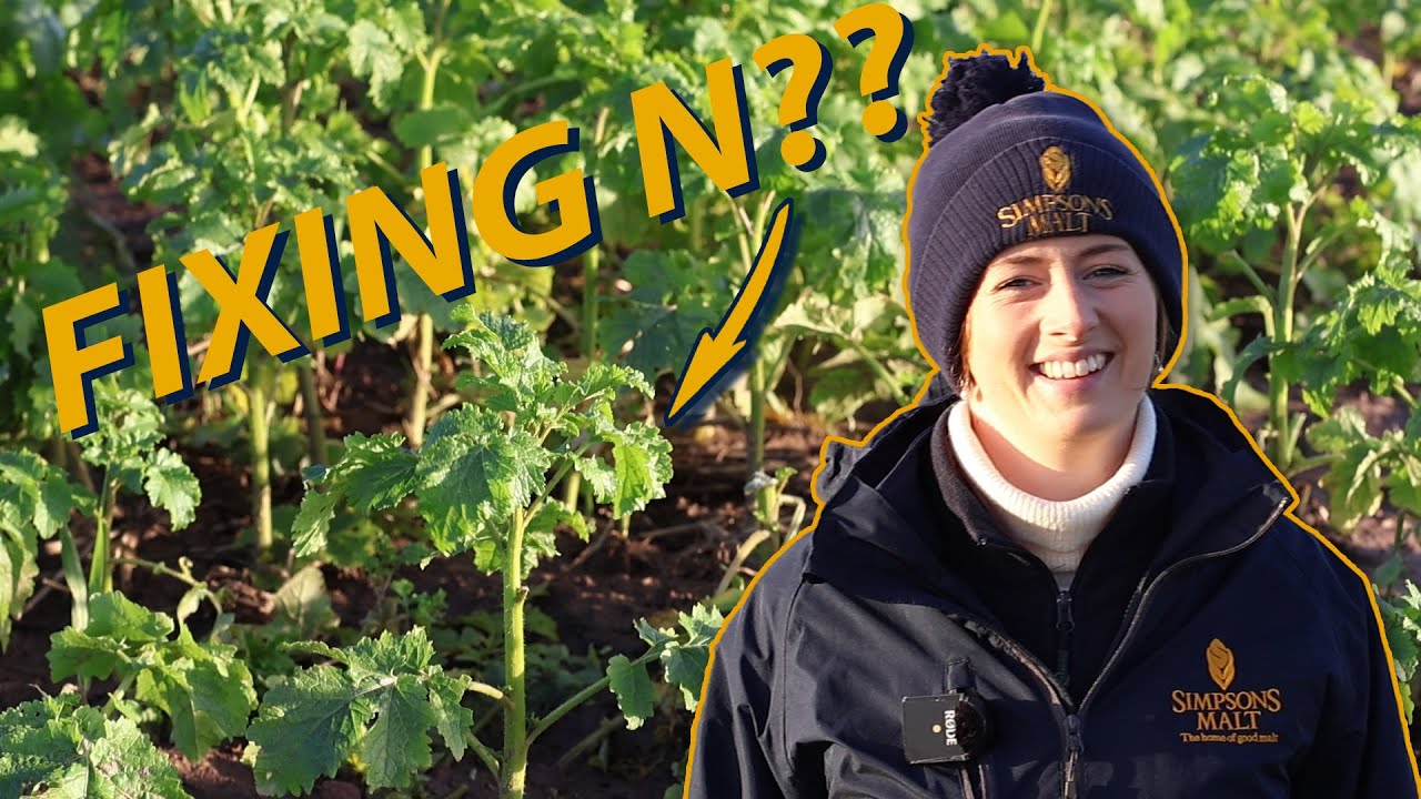 Cover Crops Before Spring Barley - Will It Work?!