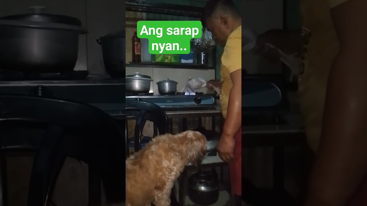 gigutom na  SI chichay Dalia nyo og luto bah.. #cooking native chicken