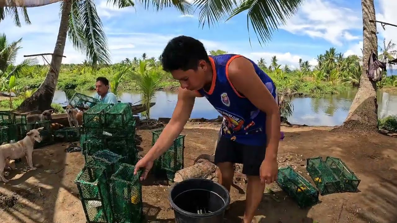 UPDATE SA AMING DIY PAMIRTA SA AMING FISHPOND