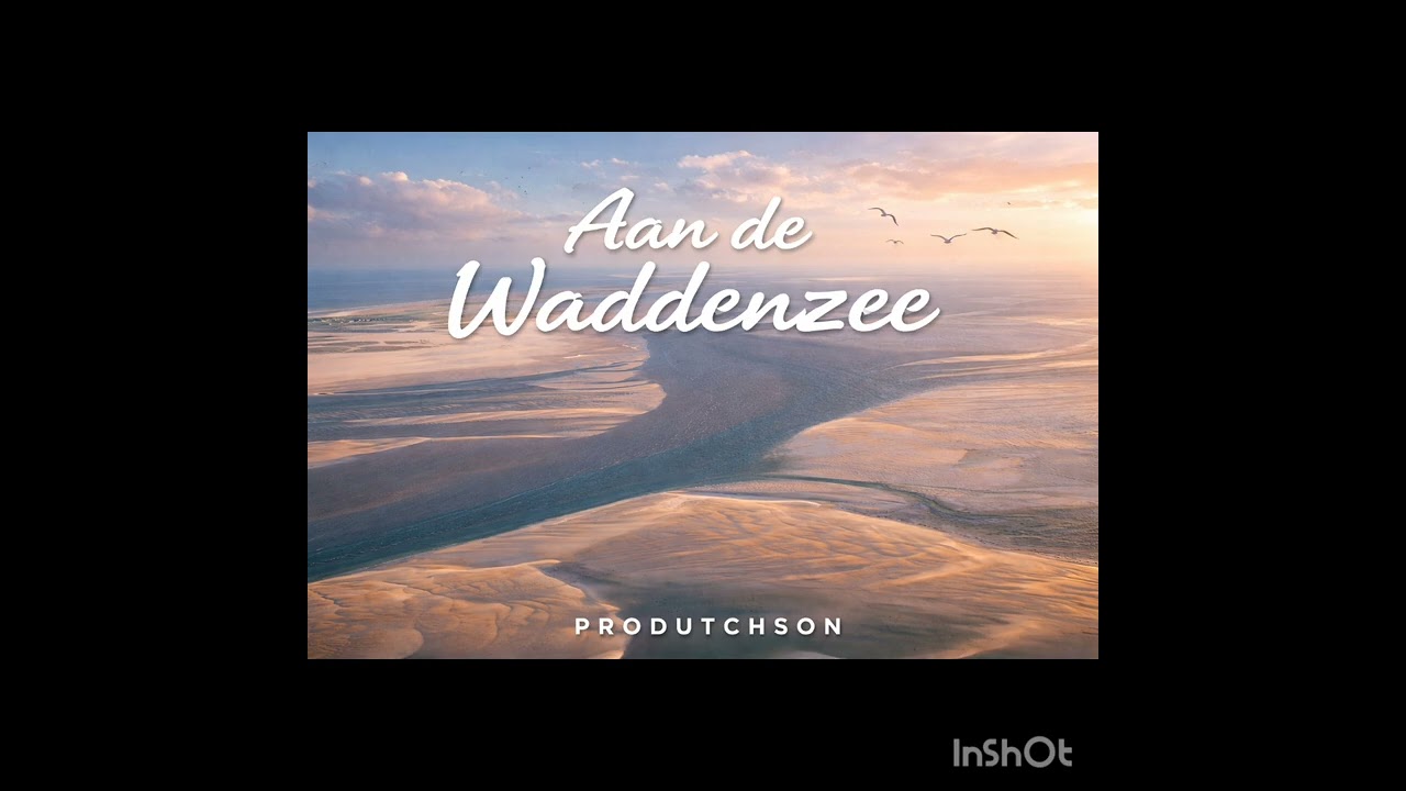 aan de Waddenzee - produtchson #music #love #aicover 