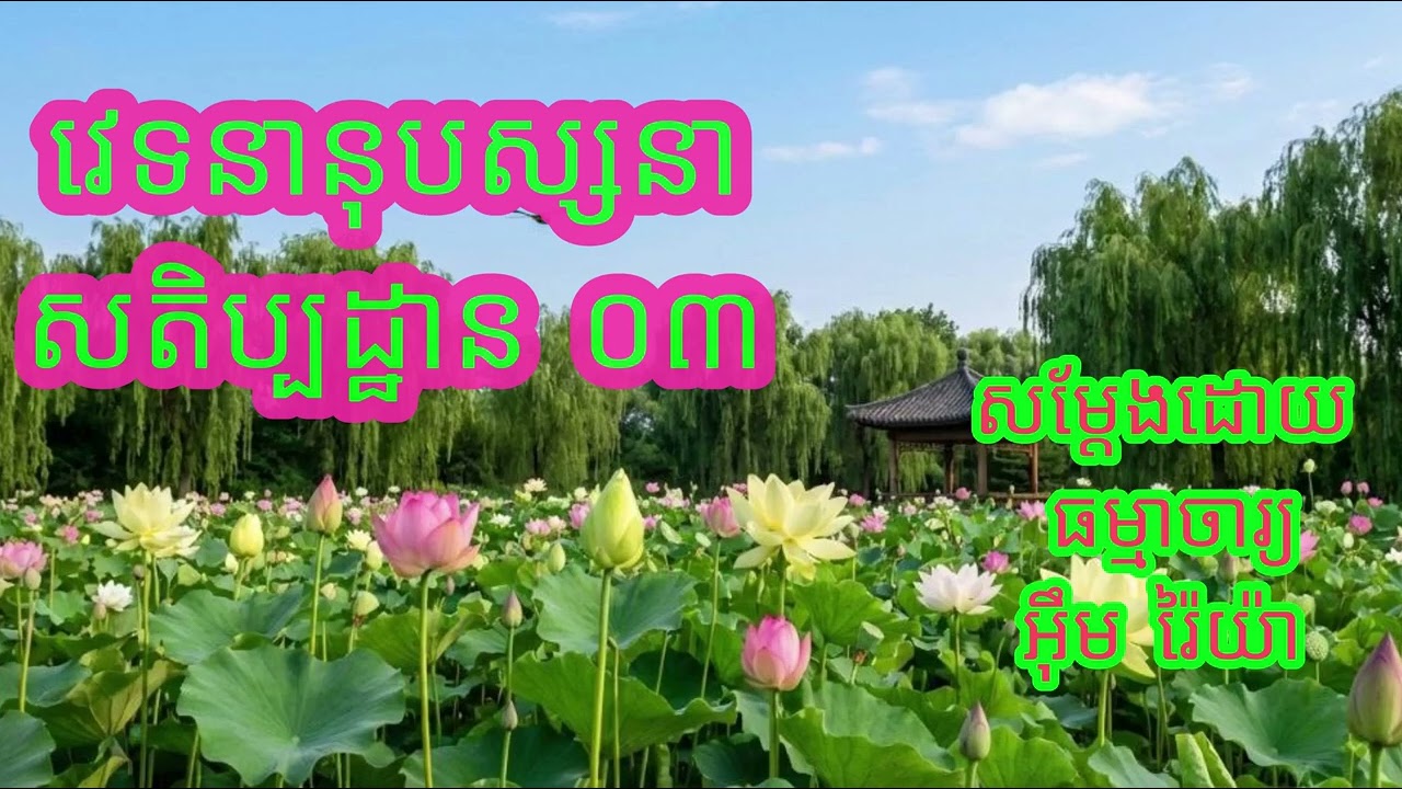 វេទនានុបស្សនាសតិប្បដ្ឋាន​​ ០៣ បង្រៀនដោយ ធម្មាចារ្យ អ៊ឹម រ៉ៃយ៉ា #ធម៌អប់រំចិត្ត #ធម៌អប់រំជីវិត #ទេសនា