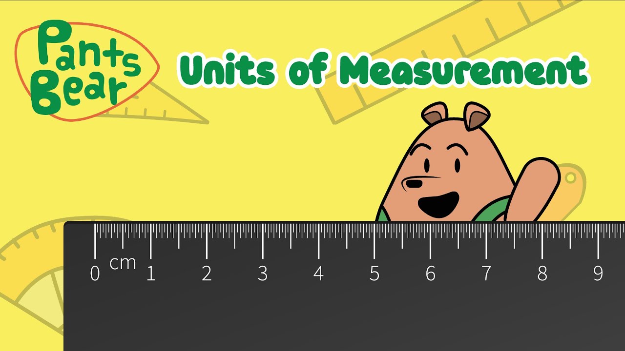 Jednostki miary | Matematyka dla dzieci | Edukacyjne #PantsBear