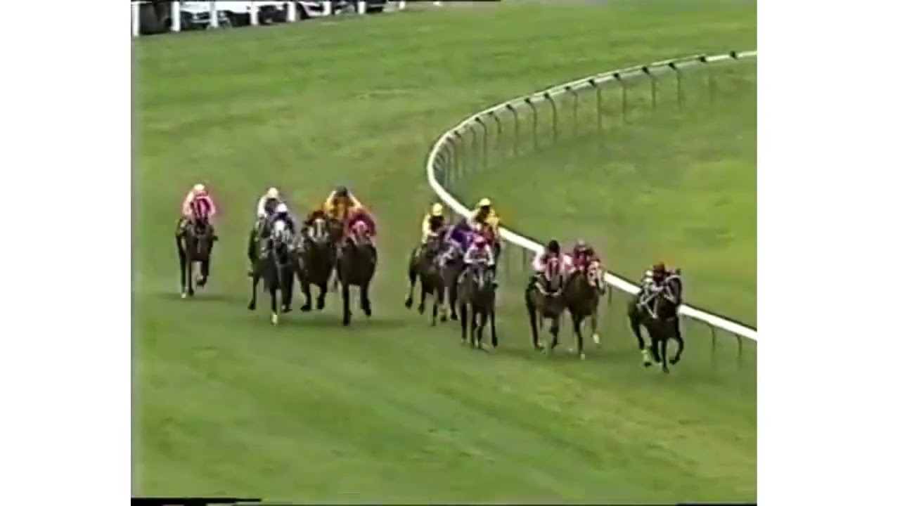 Morphettville 7 Races Sat 6 Dec 1986