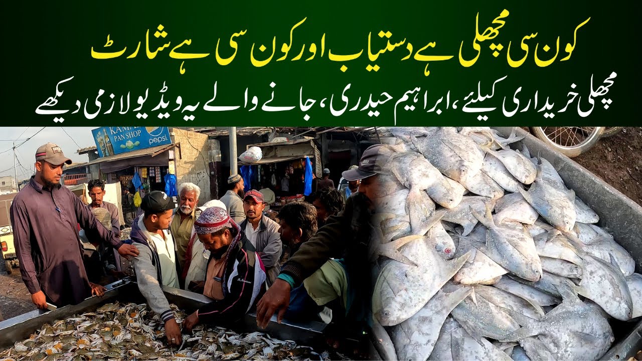 Ibrahim Hyderi Fish RATES 2021| Fish Market Updates 2022 | Karachi fish market 2022