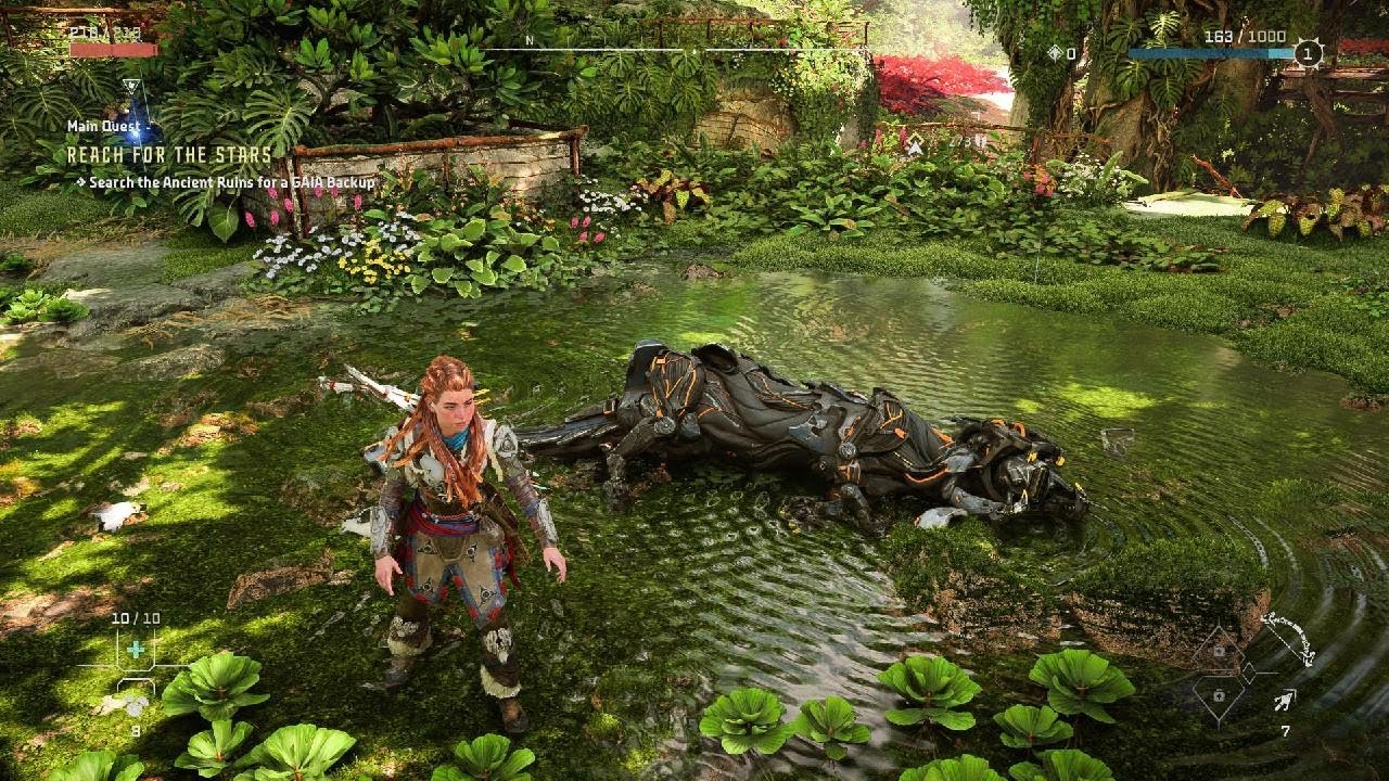 Horizon Forbidden West | killing Burrower