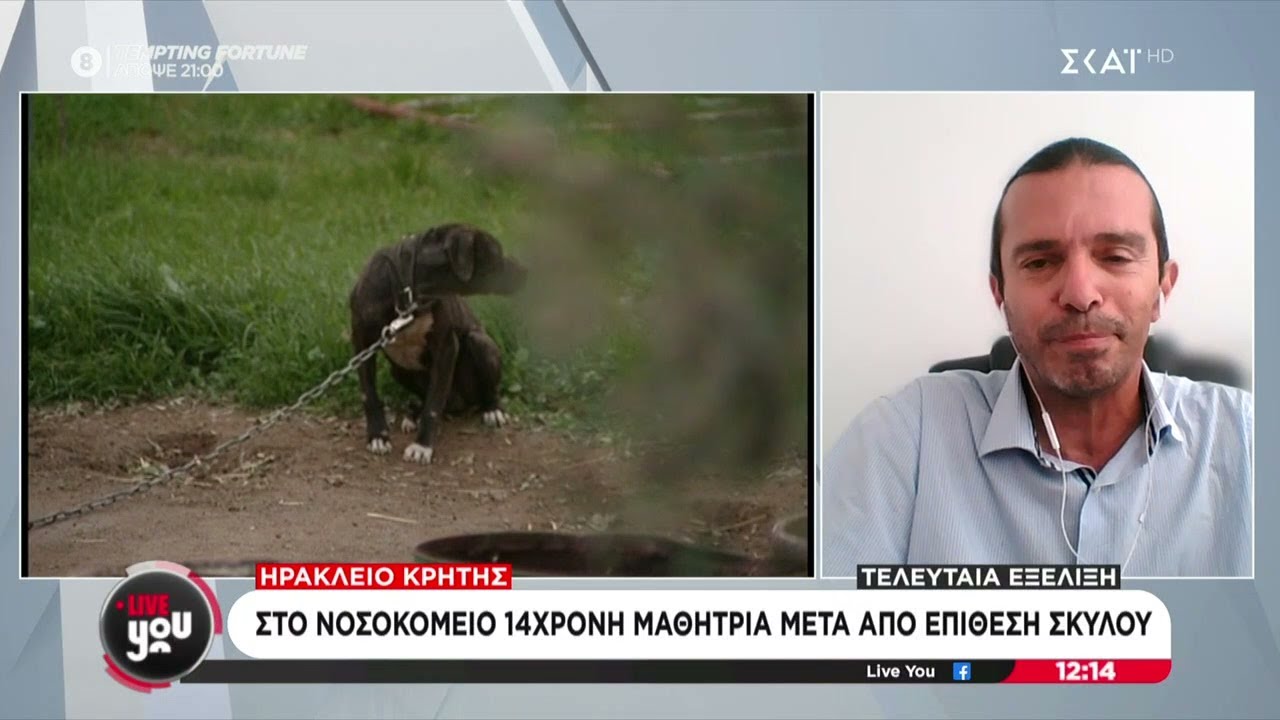 Ηράκλειο Κρήτης: Στο νοσοκομείο 14χρονη μαθήτρια μετά από επίθεση σκύλου  | Live You | 04/10/2024