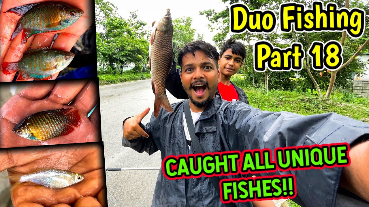Duo Fishing Part 18 : Caught Dwarf Gourami 😜Red and Blue | Fishing in rainy weather | River Fishing