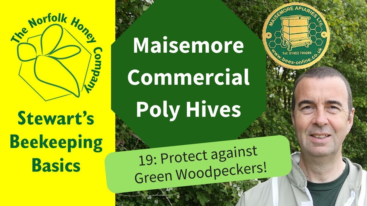 Protection against Green Woodpeckers! Maisemore Commercial Poly Hive