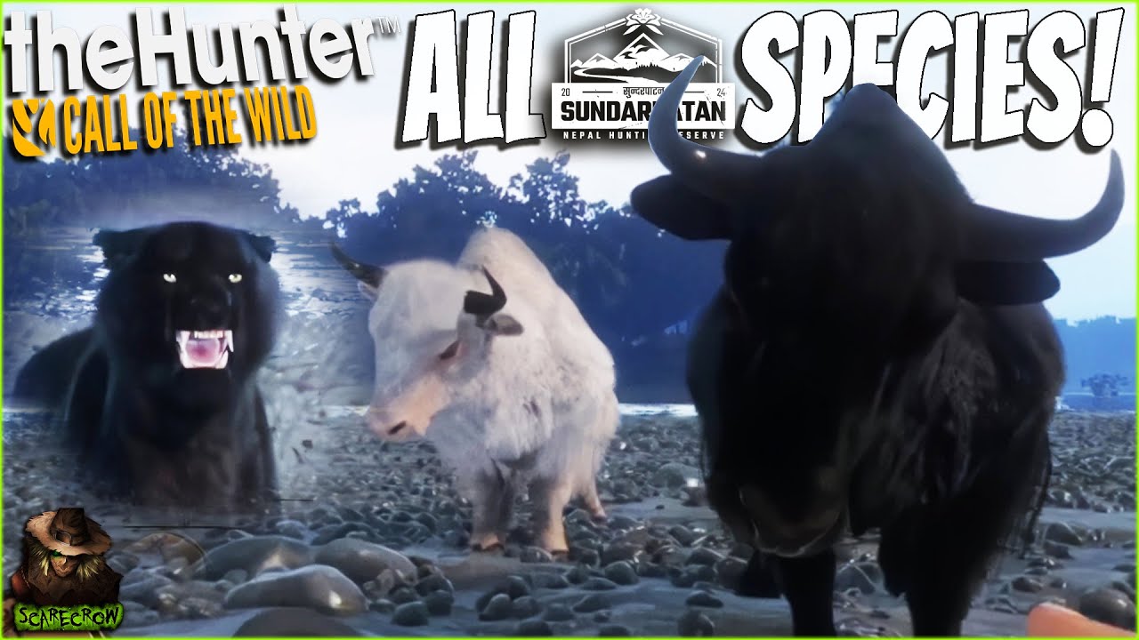 Every New Species UP CLOSE In Sudarpatan Nepal! Tiger Attacks & More! Call of the wild