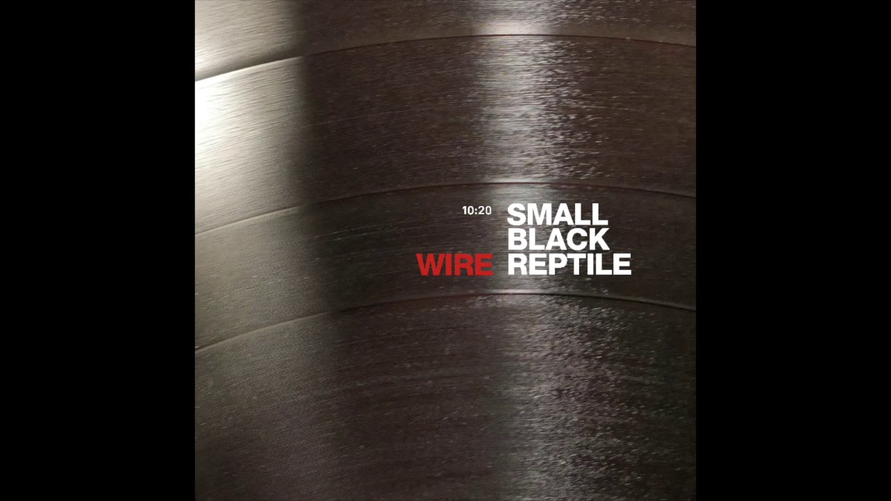 Small Black Reptile by Wire