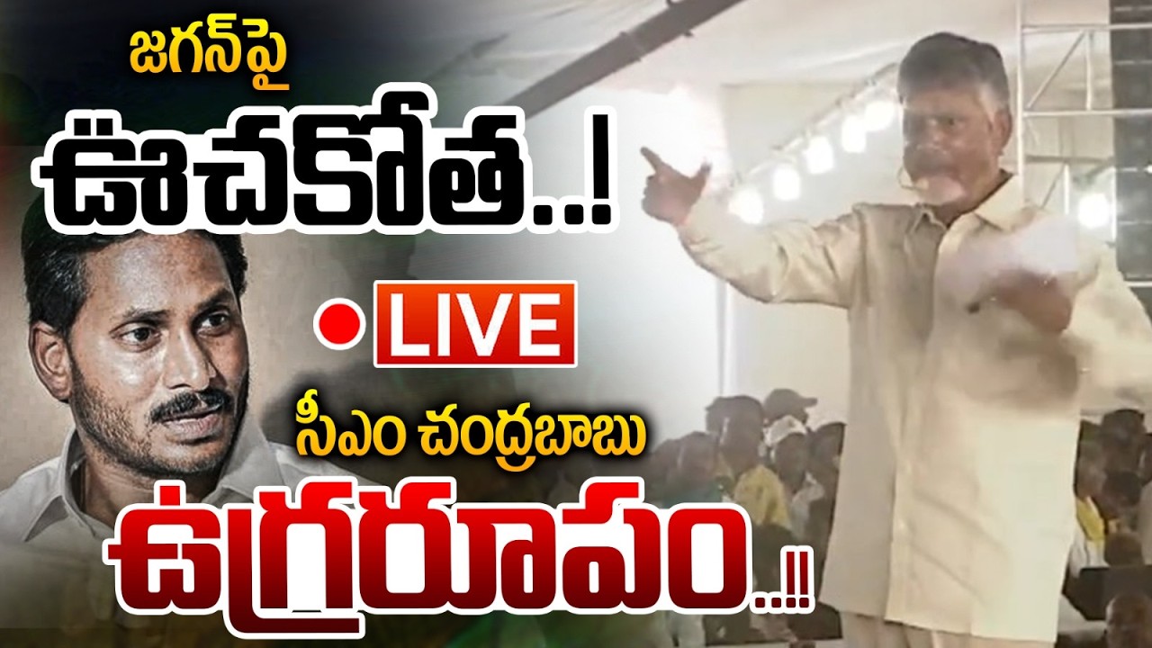 🔴LIVE: జగన్ పై సీఎం చంద్రబాబు ఊచకోత..! | CM Chandrababu Fire On YS Jagan | AP News | Wild Wolf Taja