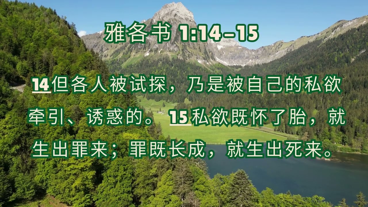 【拒绝欲望的诱惑】雅各书 1:14-15