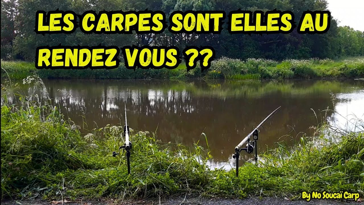 Les carpes sont elles au rendez vous??
