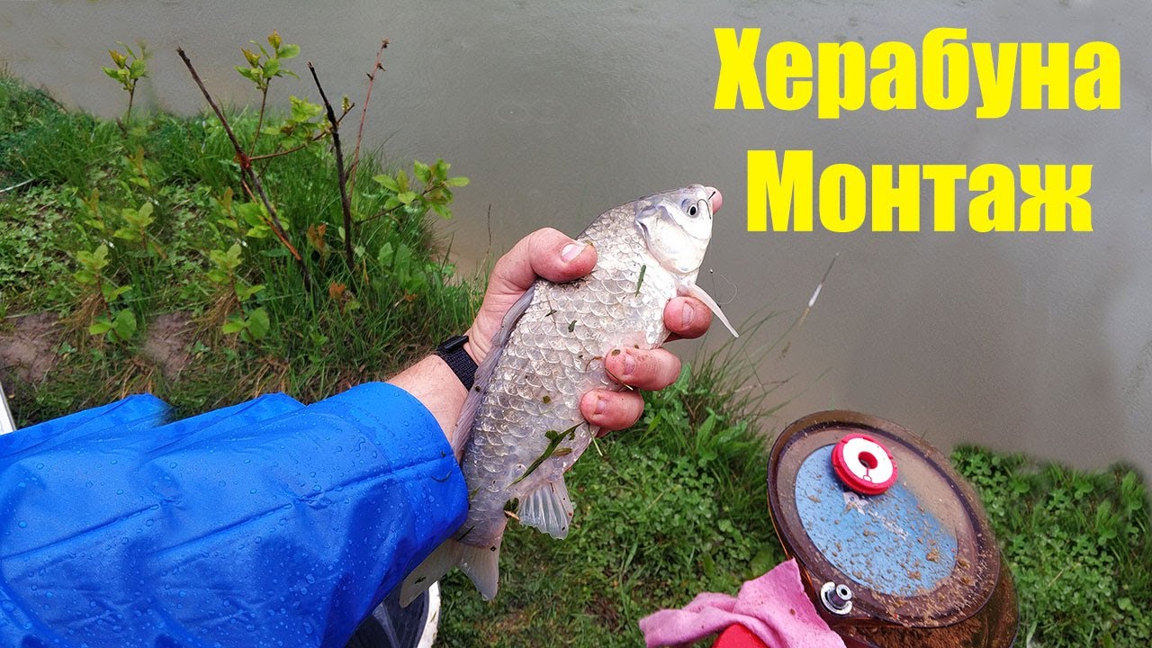 Монтаж Херабуна | Оснастка Херабуна | Метод Херабуна | Herabuna Fishing | 钓鱼中国方法