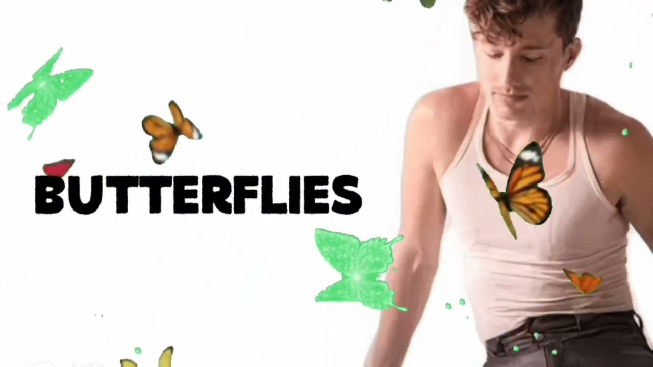 Charlie Puth - Butterflies (Visualizer)
