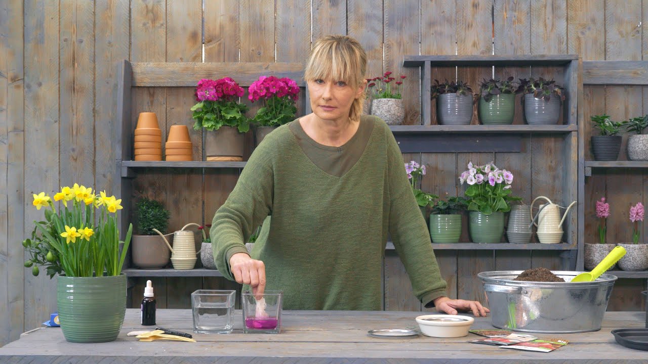 Škola vrtlarstva - priprema za sjetvu